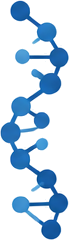 Peptide Sweden